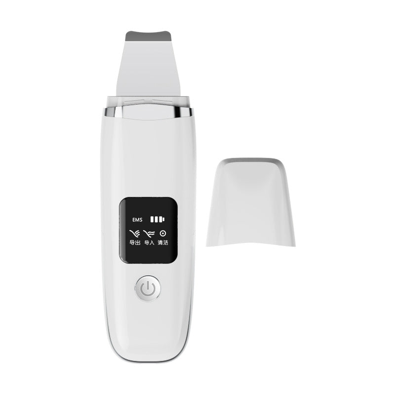 Skin Cleansing Device